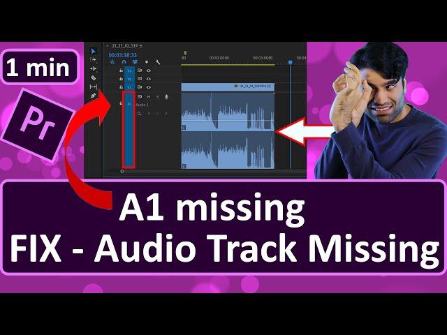 Premiere Pro Audio Track Missing - FIX