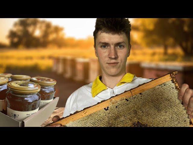 500kg of Honey from 30 Hives | How To Make Whipped Honey