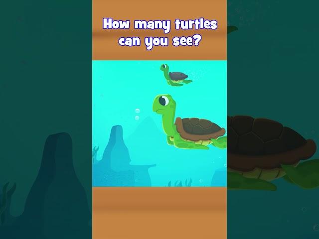 Can you count the number of turtles? #kiddopia #madeforkids #preschoolathome #homeschooling