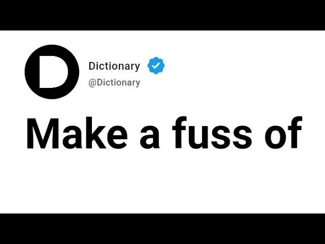 Make a fuss of Meaning In English