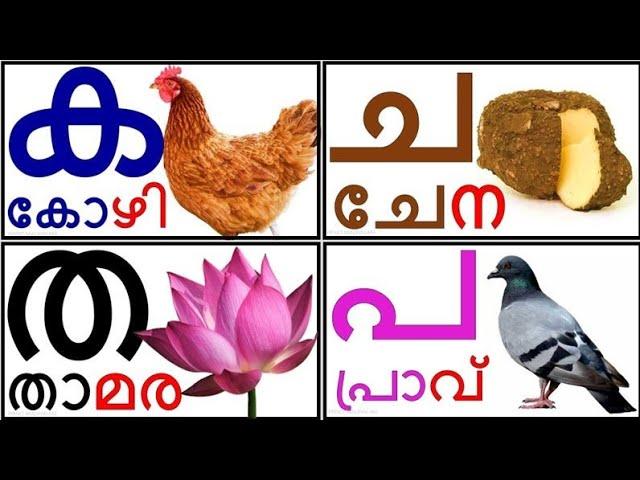 Learn Malayalam Consonants(വ്യഞ്ജനം, vyañjanam)|Malayalam Alphabet Malayalam Aksharamala|ക ഖ ഗ ഘ ങ