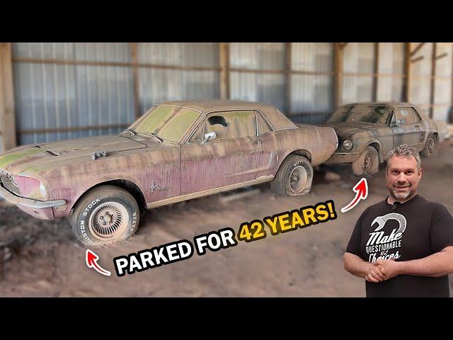 Two Mustangs Parked for 42 Years! Will They Run and Drive?