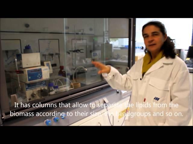 Step-by-step to a neutron experiment with biological matter
