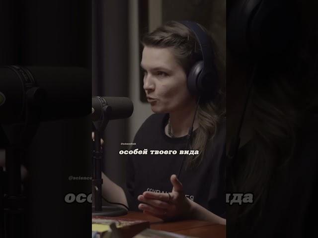 Елена Сударикова. Инфантицид. Территориальность. #наука #science #shorts