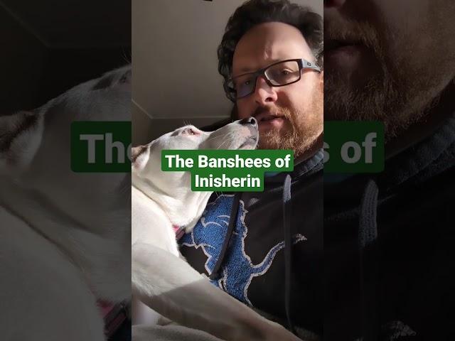 The Banshees of Inisherin - Watch It!