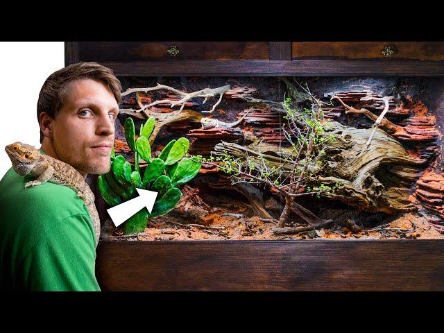 Abandoned Bearded Dragon Gets Mansion Vivarium (Giant Bioactive Build)