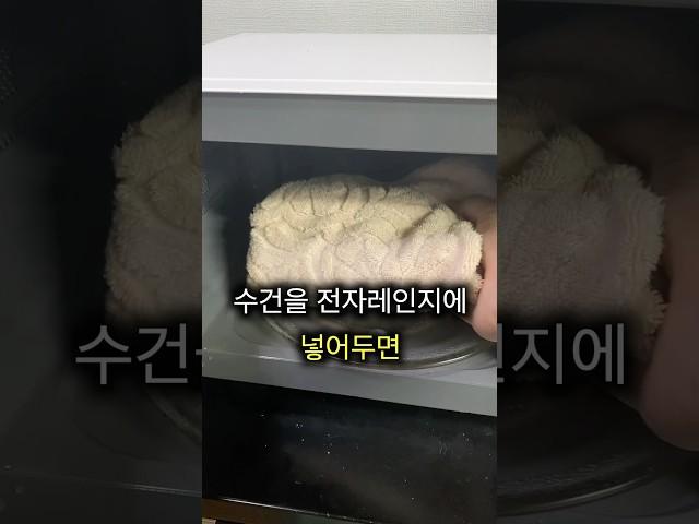 수건을 전자렌지에 넣으면 생기는 꿀팁