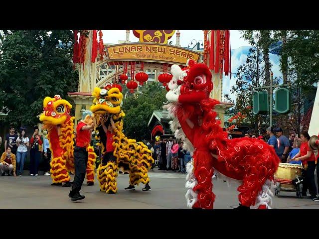 Dragon Dance @ Disneyland Lunar New Year [2020]