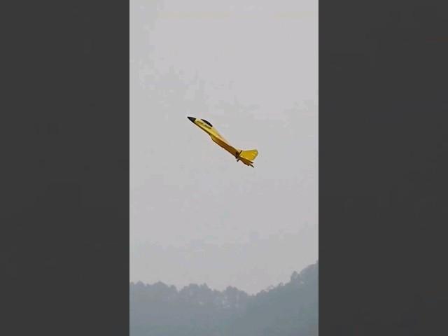 Sukhoi SU35 RC Fighter Aircraft loop #rcplane #rcairplanes #rcairplane #su35 #sukhoi #sukhoisu35 #rc