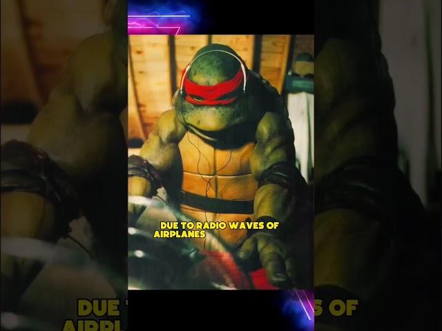 Ninja Turtle Heads Would Break During Filming