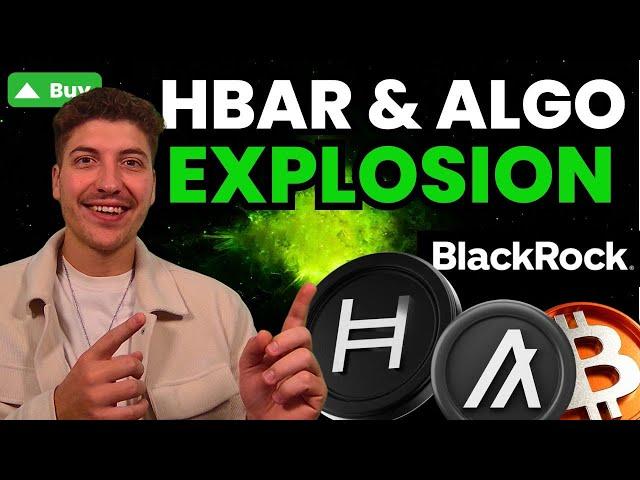 Hedera HBAR Kursexplosion  RWA Tokenisierung mit BlackRock   Algorand (ALGO) zieht nach! [Analyse]