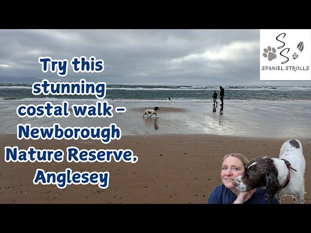 Beach & Forest Walk on Anglesey, North Wales