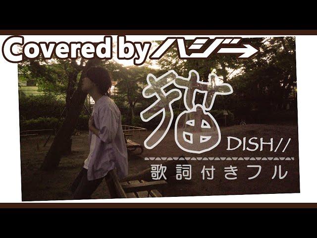 猫 / DISH//  (Full Covered by ハジ→) 歌ってみた【フル/字幕/歌詞付】