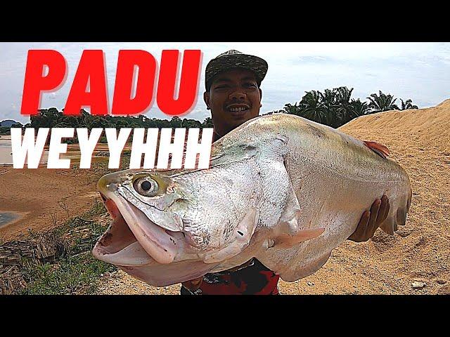 Menajur Ikan BAUNG.trip bersama idola @mrsamr3022 dan @penyengatsungai880 #vlog41 #unlimitedhobby