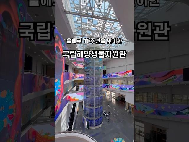 국립해양생물자원관 10주년! 특별전시부터 공연까지 한눈에 #국립해양생물자원관 #씨큐리움  #가족여행 #어린이날행사 #바다탐험