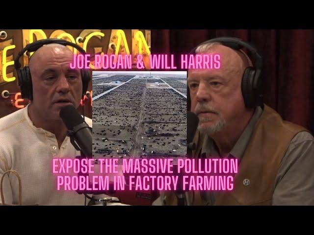 Joe Rogan learns of MASSIVE POLLUTION problem - Factory Farming Environmental CATASTROPHE 