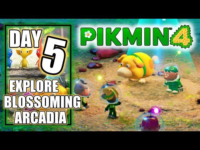 Pikmin 4 – Day 5: Explore Blossoming Arcadia - Nintendo Switch Gameplay Walkthrough