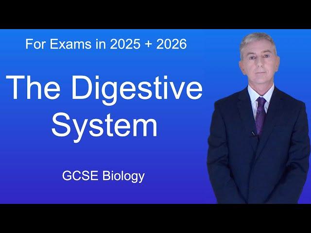 GCSE Biology Revision "The Digestive System"