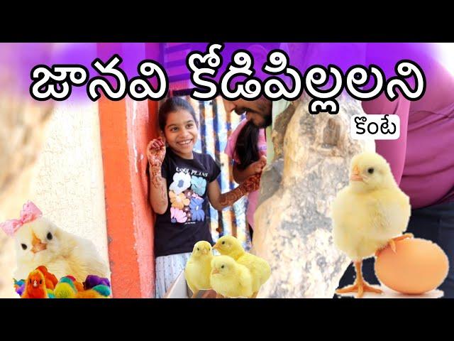 జానవి కోడి పిల్లల్ని కొంటే comedy video || village comedy videos || జానవి కోడి video ||