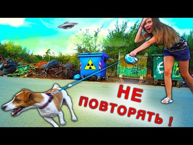 Мной управляет Собака Джина выгуливает меня Играем Крит | Elli Di Pets