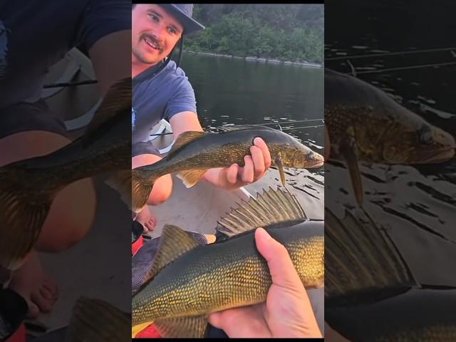 Bark Lake Double Header Walleye