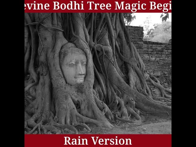 Bodhi Tree Spirit  – Enlightenment & Awakening Booster | Rain Sounds for Deep Wisdom ️ #healing