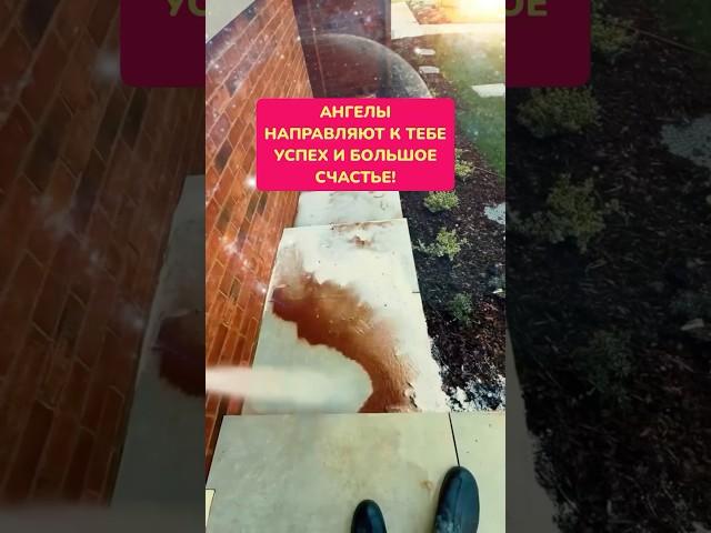 #дабудеттак #изобилиевселенной  #ангелы  #изобилиевселенной  #shorts