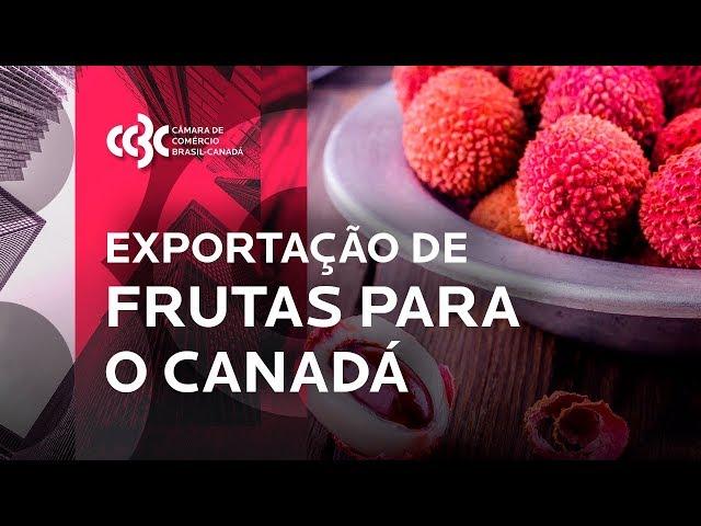 Exportação de frutas para o Canadá | Cases de Sucesso CCBC