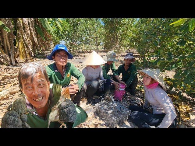 Bất Chấp Cái Nắng Nóng Như Đổ Lửa Giữa Đồng, Cậu Cháu Tóm Gọn 2 Ổ Cống Nhum Quá Đã. #ỐcNhỏMiềnTây