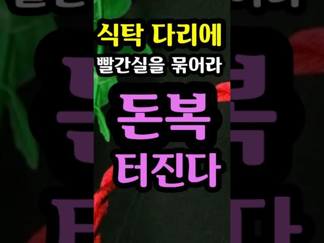 "식탁 다리에 빨간실을 묶어라" [돈복 터지는 생활풍수]