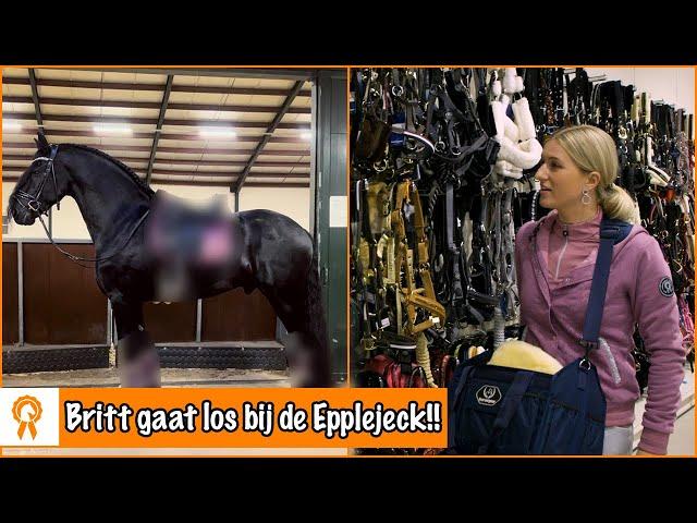 SHOPPEN VOOR EVE, JOHNNY en GEORGE | PaardenpraatTV