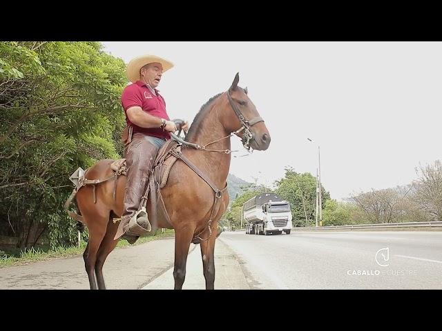 ️ NO ME LO IMAGINABA - YEGUA PAJARERA - QUITANDO MIEDOS - E5