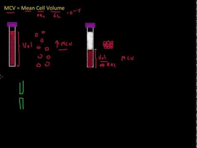 Understanding the mean cell volume (MCV) - Full Blood Count Masterclass series