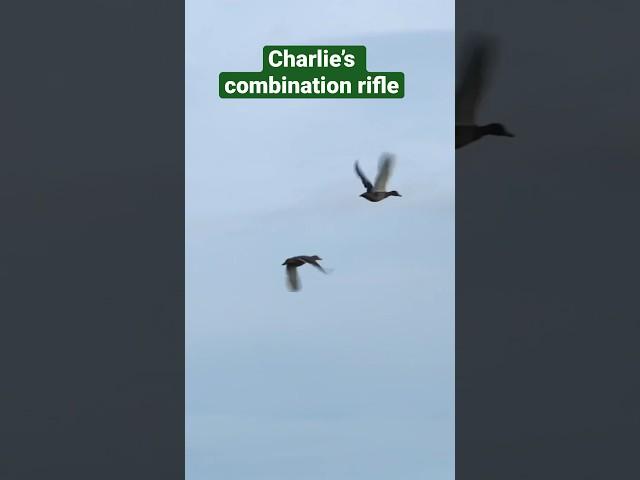 Is Charlie’s combination rifle the all-round gun he is looking for? #fieldsportsbritain