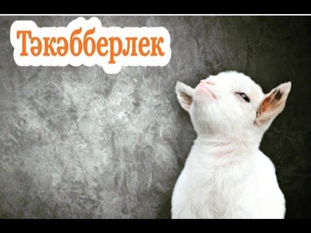 ТӘКӘББЕРЛЕКНЕ НИЧЕК БЕТЕРЕРГӘ... Наставления для верующих.