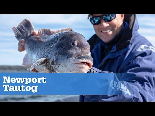 Fishing for Big Tog off Newport, Rhode Island | S16 E7