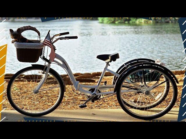 Best Adult Tricycle In 2024 - Top 10 Adult Tricycles Review|The Best Adult Tricycles of 2024