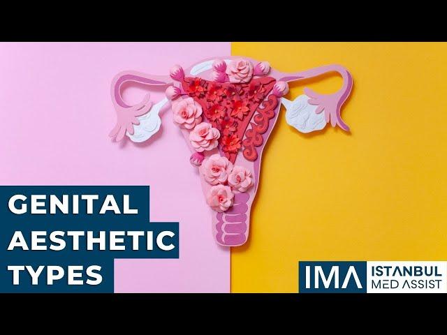 What are the Types of Genital Aesthetics? - Cosmetic Gynecology