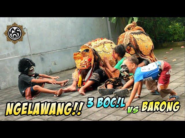 Ngelawang!! 3Boc!L X Barong macan #mos_bali Sekaa Barong Tampakgangsul