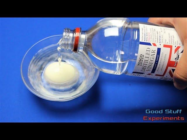 Egg vs Vinegar - Science Experiment