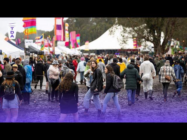 What does the future of music festivals look like? | The Daily Aus