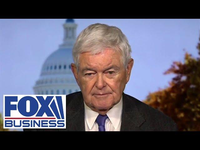 This will be a disaster for House Republicans, Trump in the fall, Gingrich warns