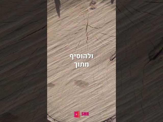 ממתק מהרבי לתחילת שבוע