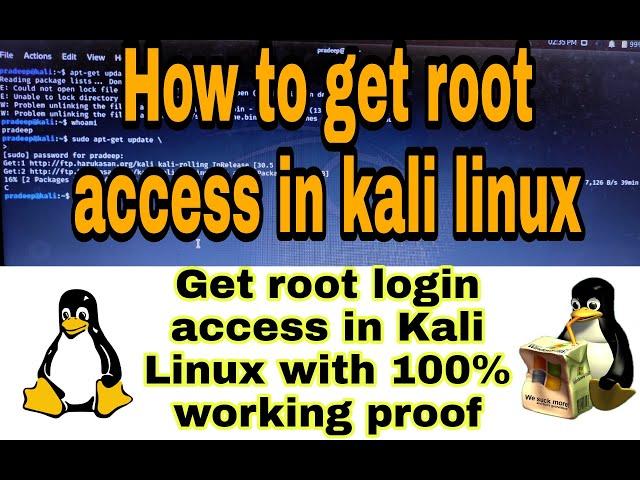 Root login access in Kali Linux