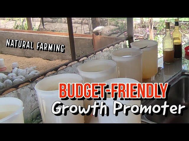 Earn Money in a Healthy Way | Natural Growth Promoter in Farming | OHN Budget-Friendly #farming #fyp