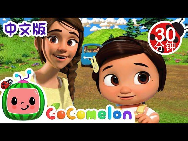 你好歌 | 大合集 | 經典熱門兒歌 | Kids Song | 動畫 | 童謠 | 儿童学习 | 卡通片 | CoComelon 中文 | Nursery Rhymes