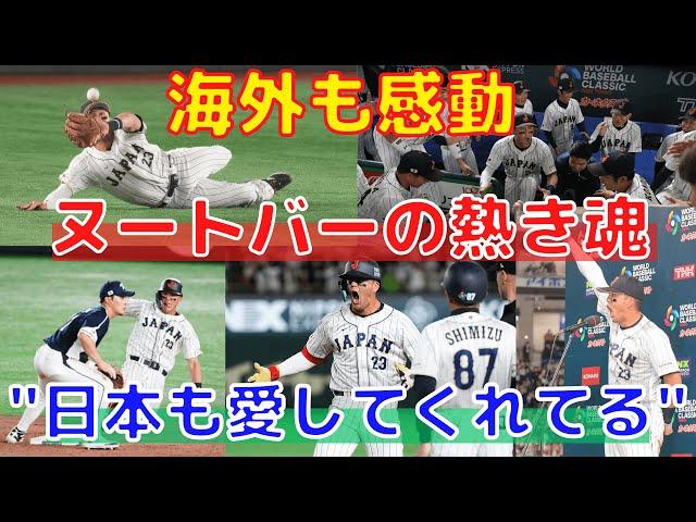 【ヌートバー】日本の心を鷲掴みにした大活躍に海外も称賛！WBCで見せた侍魂！