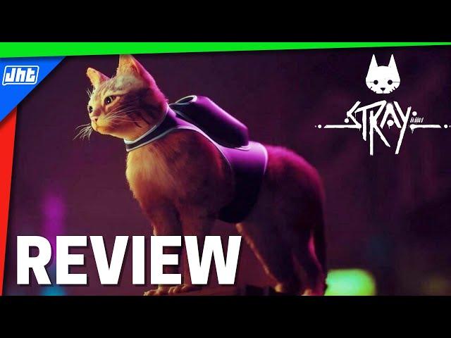 Stray REVIEW | JHT