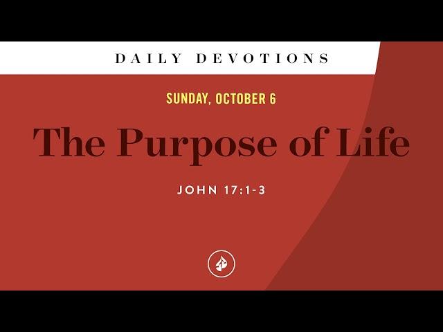 The Purpose of Life – Daily Devotional