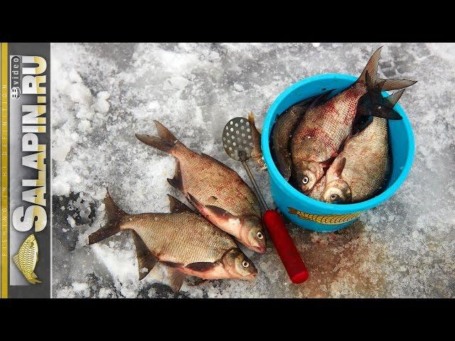 Экшн рыбалка на водохранилище, подлещик, густера [salapinru]